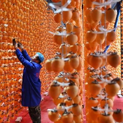 Mùa thu nhuộm màu khắp thế giới 8